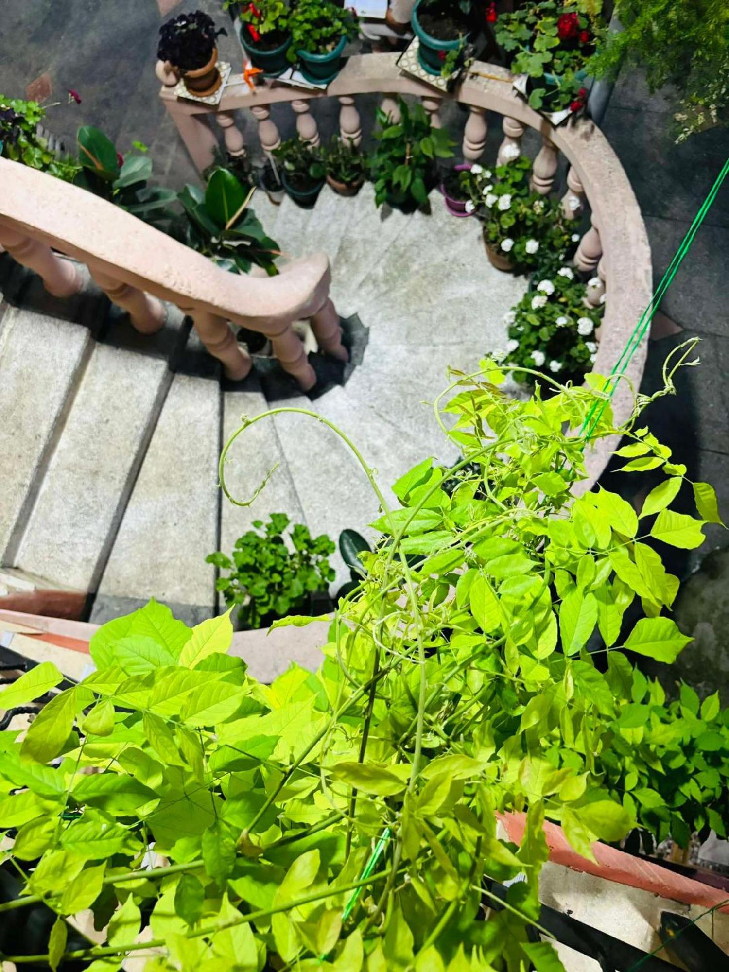 ホテル Nana'S House バトゥーミ エクステリア 写真
